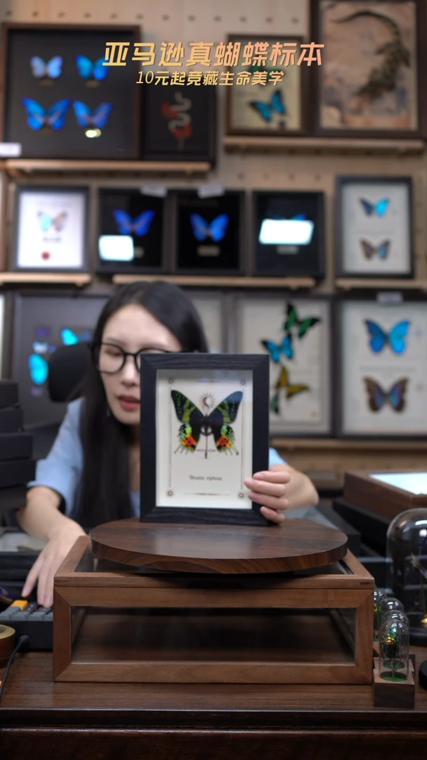 太阳蛾图腾款7寸竖框