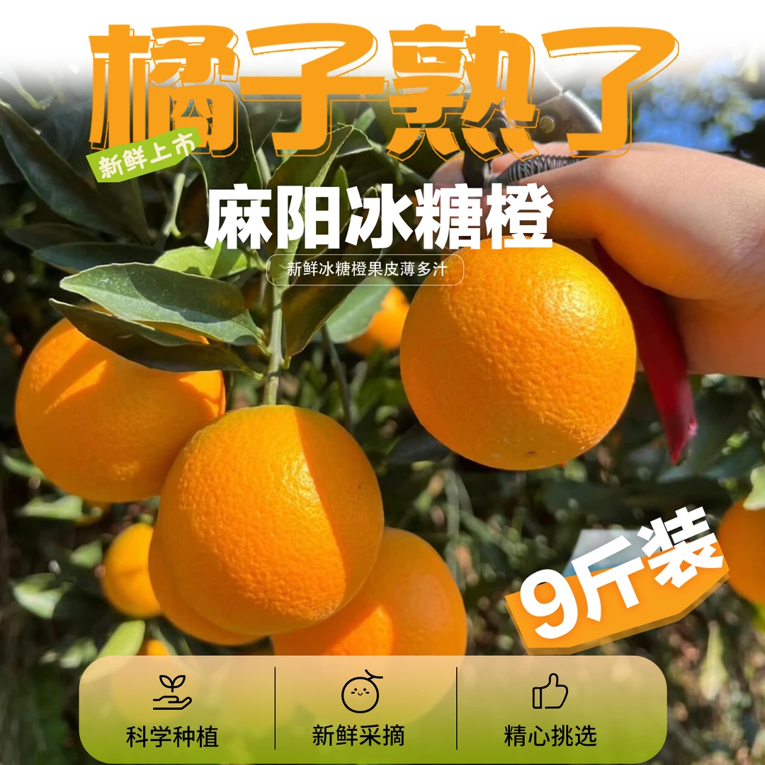 【现摘】湖南麻阳冰糖橙 新鲜多汁水果（9斤装）