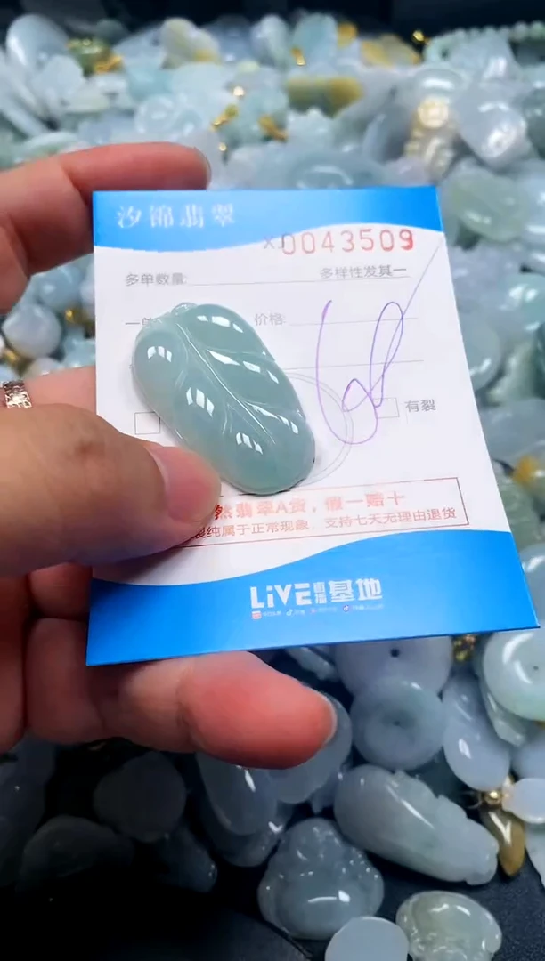 颈饰未镶嵌翡翠闪购商品0043509
