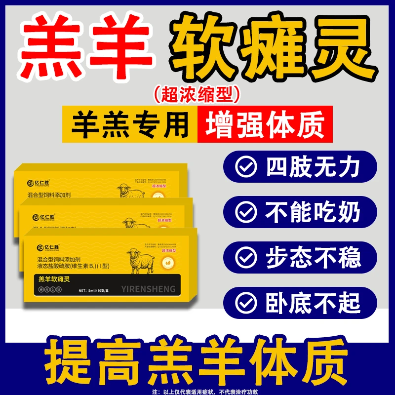 羔羊犊牛软瘫灵兽用刚出生小羊羔常见问题瘫痪站不起来卧底不起