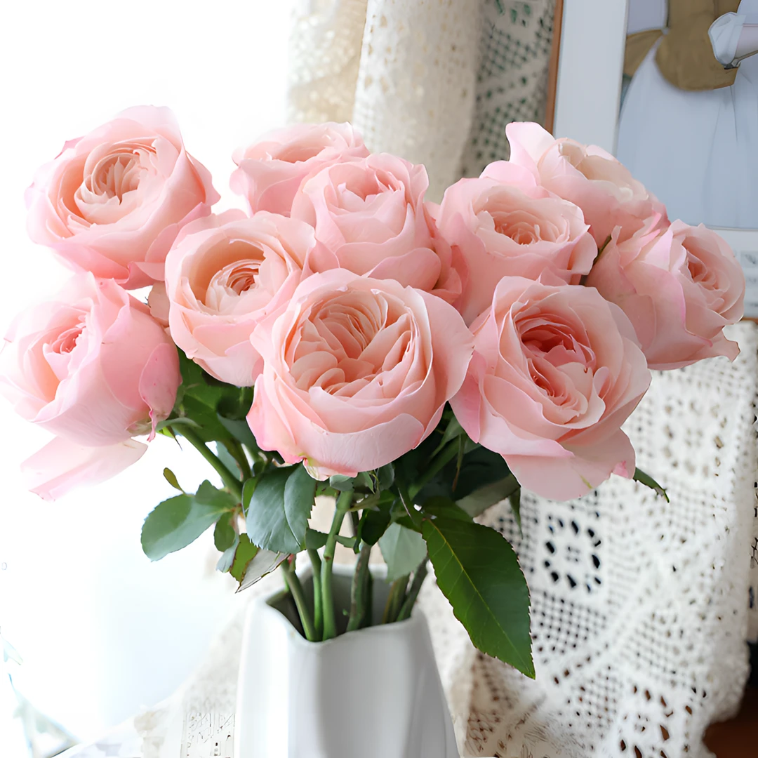 【银座鲜花】凯瑟琳玫瑰原装整扎20支每扎2单包邮鲜切花家居花生活鲜花