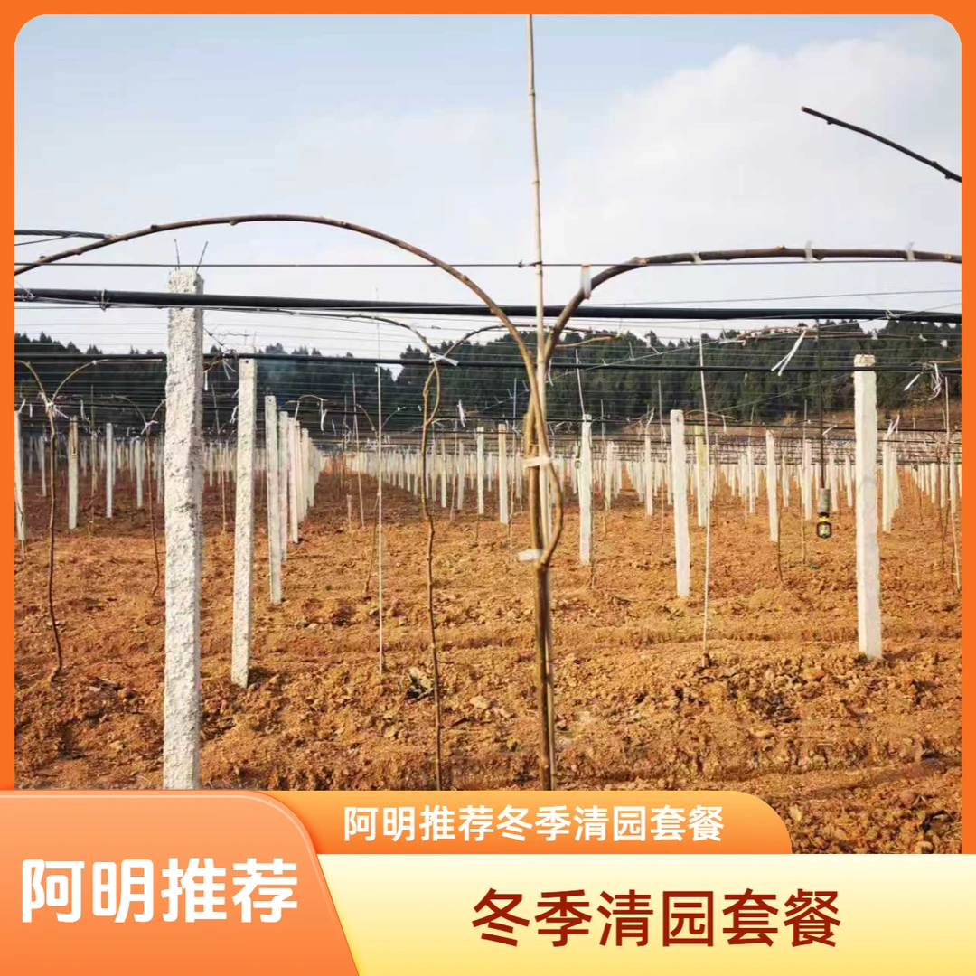 【阿明推荐】冬季清园套餐