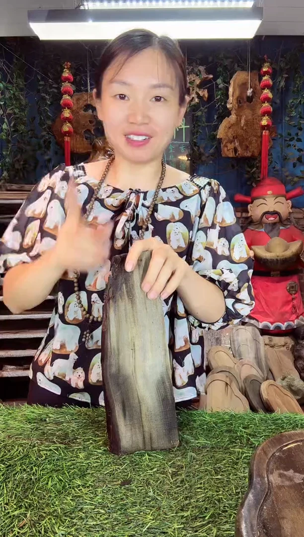 金丝楠小叶祯楠507