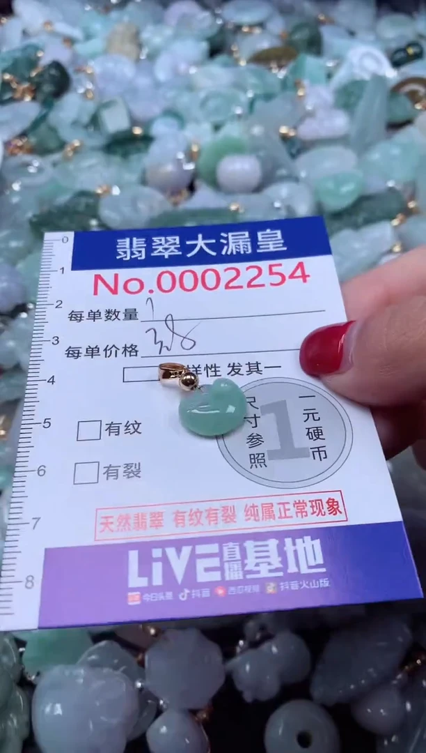 颈饰未镶嵌翡翠2254