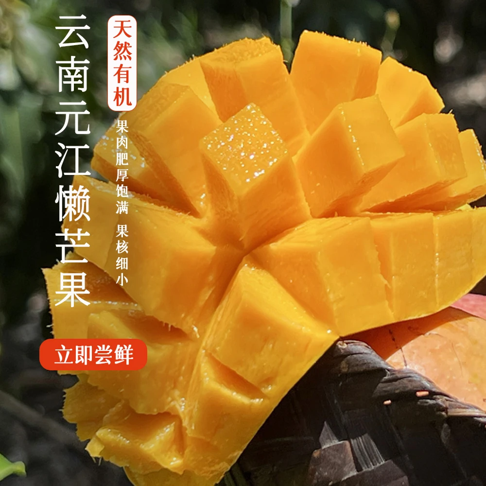 云南元江懒芒果[果肉肥厚饱满 香甜多汁]