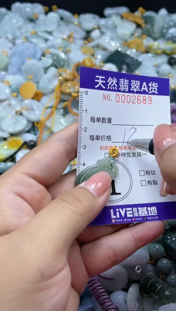 翡翠未镶嵌颈饰02689