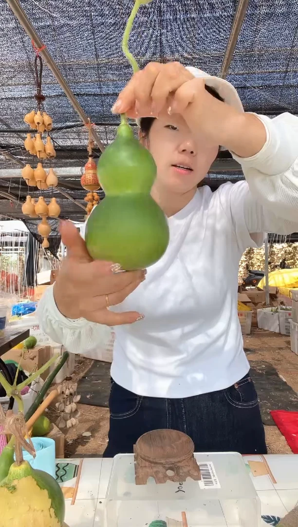 698天然葫芦摆件 一物一拍龙头不保售后