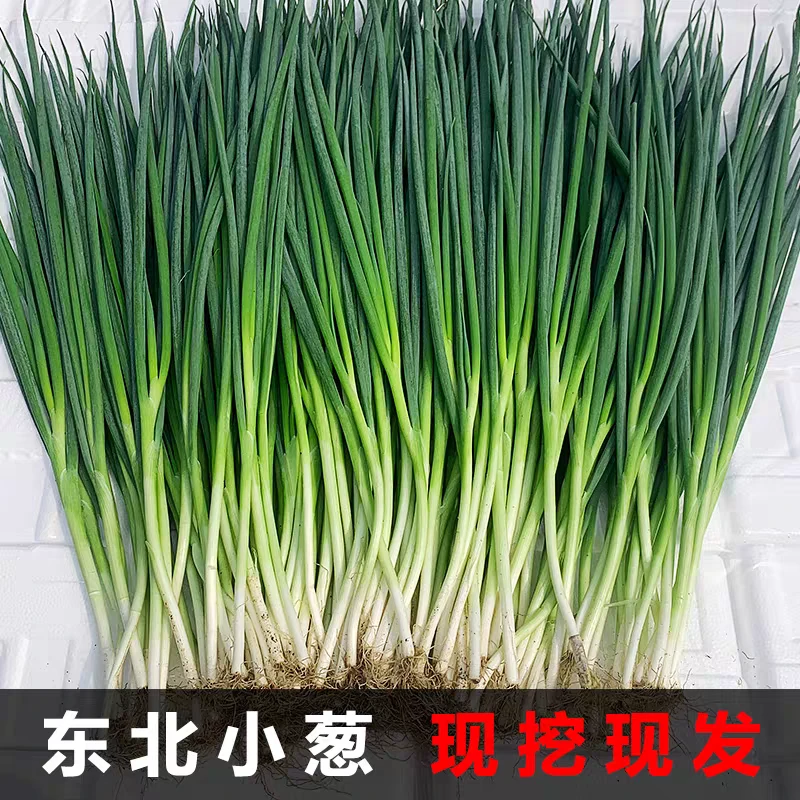 大连神农谷小葱3斤京东送货上门