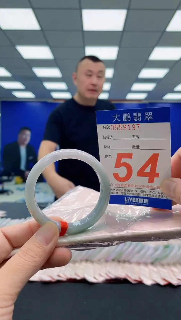 未镶嵌手镯翡翠AAAAAAAAA