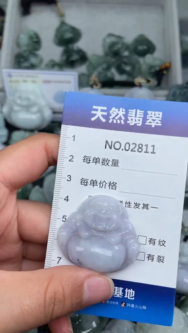 颈饰未镶嵌翡翠纯天然A货翡翠2811