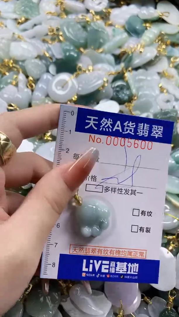 颈饰未镶嵌翡翠天然A货翡翠