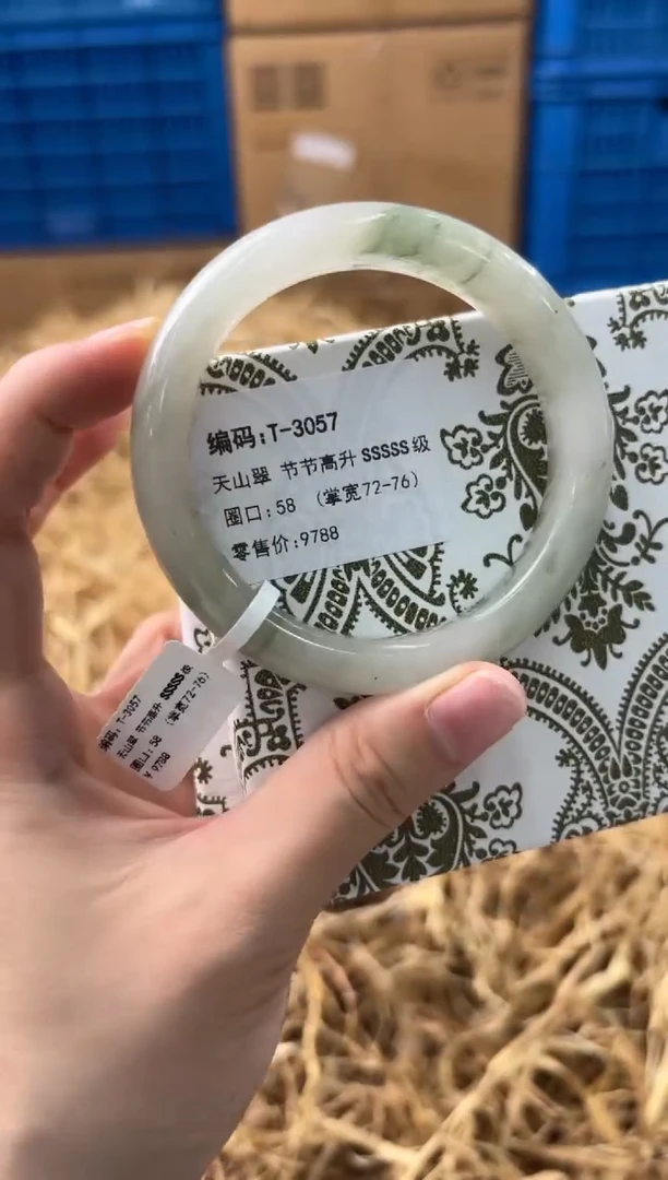 未镶嵌手镯石英质玉T-3057