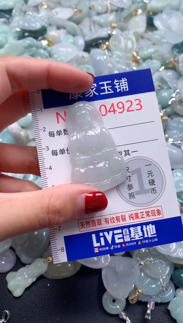 颈饰未镶嵌翡翠4923