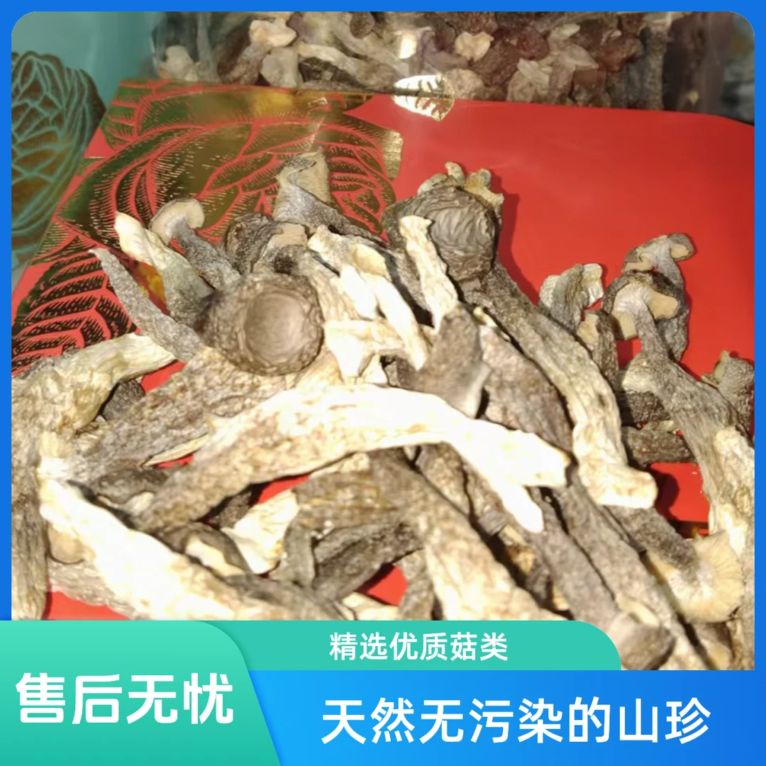 鹿茸菇        250克解馋零食