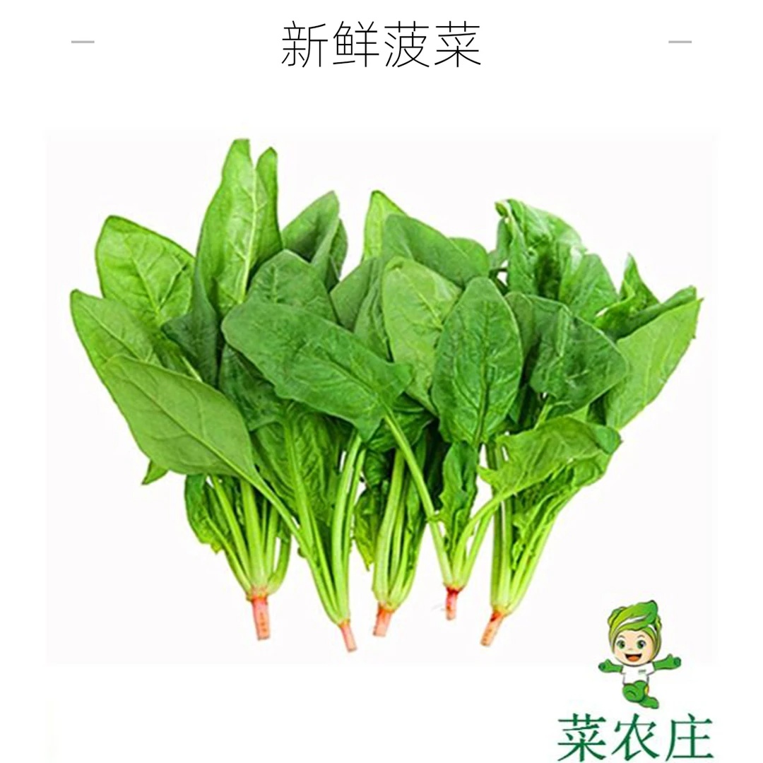新鲜菠菜约250g