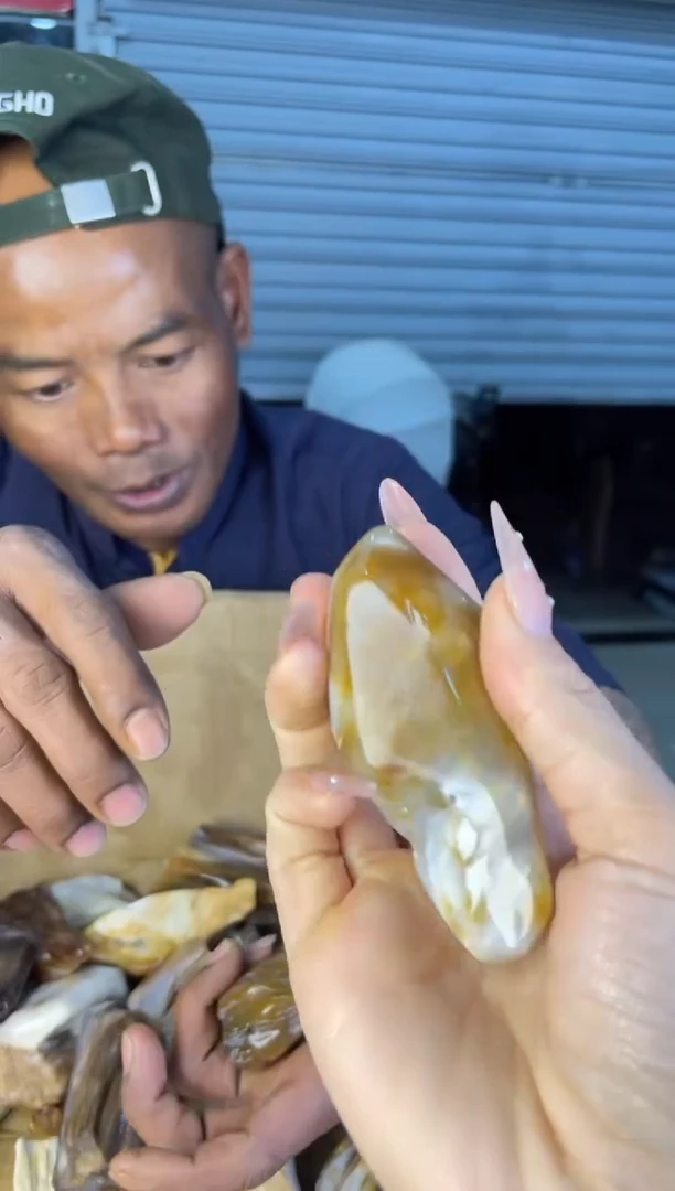 未镶嵌摆件硅化玉6