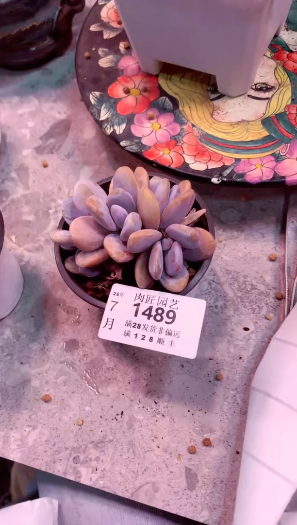 秀****)1489——生鲜绿植不支持7天无理由退货