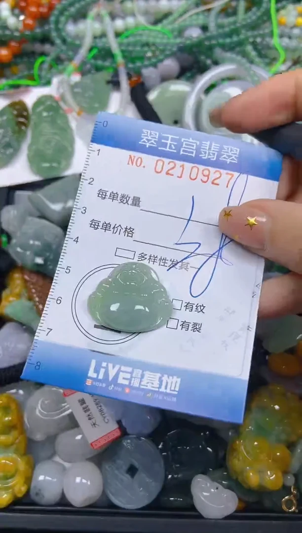 颈饰未镶嵌翡翠闪购C0210927
