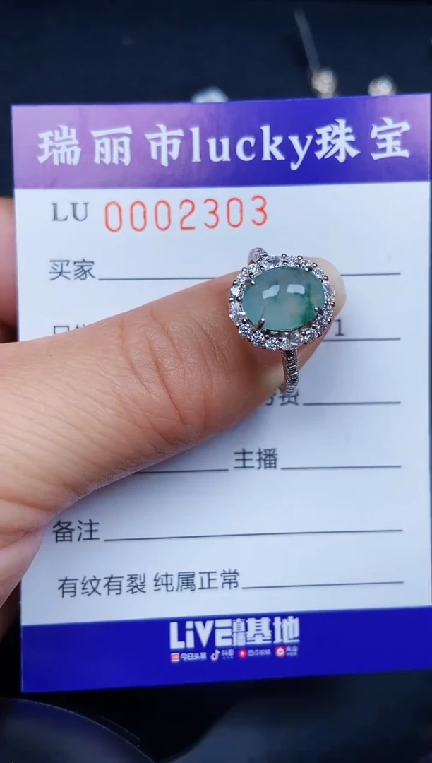 翡翠银S925镶嵌颈饰2303