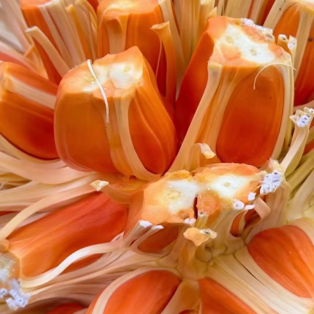 越南进口印尼红肉菠萝蜜一整个树熟发货【一物一拍】顺丰包邮