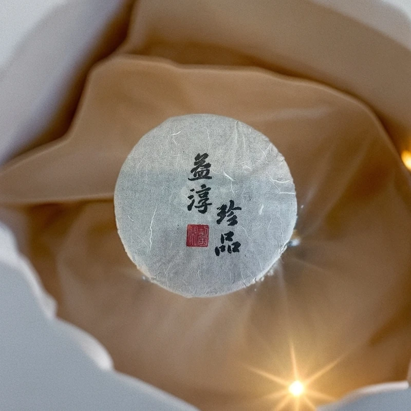 益淳珍品-刮风寨 普洱茶 生茶 357克