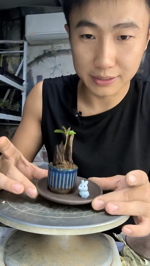 若*?中青园艺一物一拍189