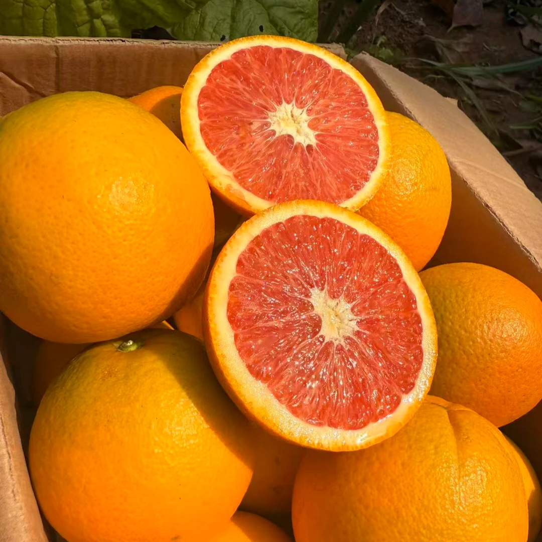 重庆红橙当季新鲜水果红肉橙香甜多汁新鲜水果产地直发