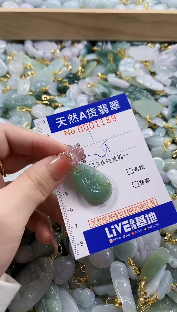 颈饰未镶嵌翡翠天然A货翡翠