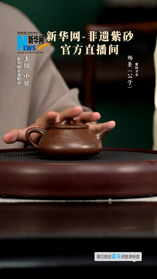 茶壶紫砂YSS100杨圣光明石瓢（泥绘）底260