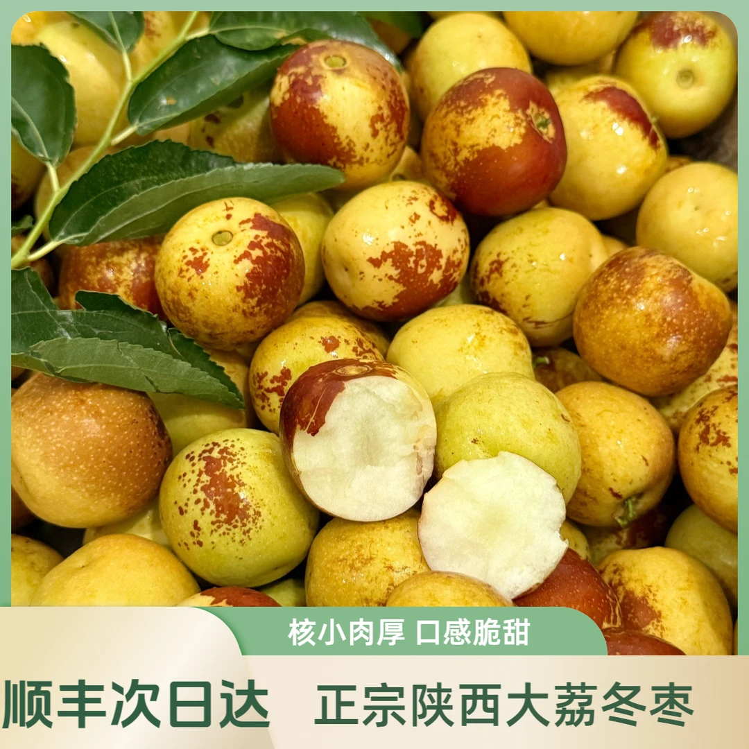 【顺丰次日达】大荔冬枣5A核小肉厚脆甜多汁新鲜正宗大荔冬枣陕西省