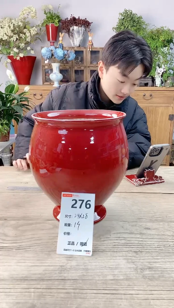 小玩子花盆直播号376