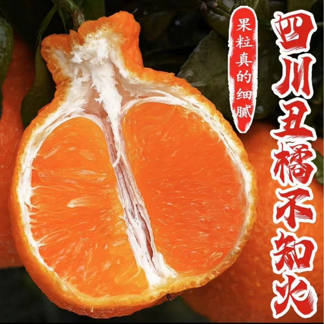 【产地直发】正宗四川不知火丑橘应季鲜丑八怪脆嫩多汁解油腻不上火