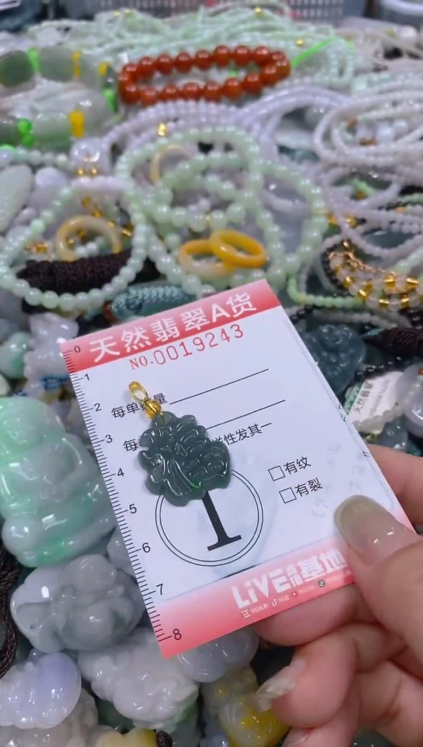 翡翠未镶嵌颈饰闪购0019243