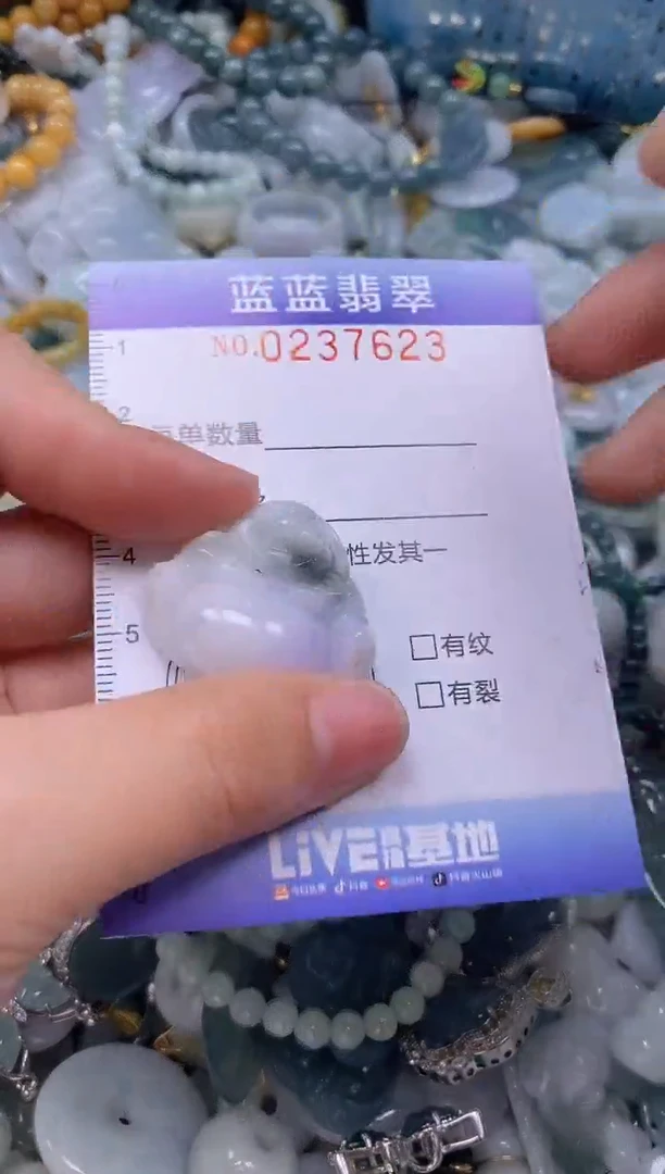 翡翠未镶嵌颈饰闪购0237623