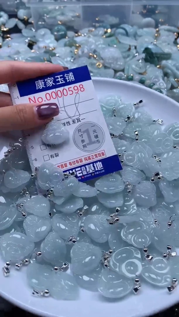 翡翠未镶嵌吊坠(不含链)多样性发其一598（一个）