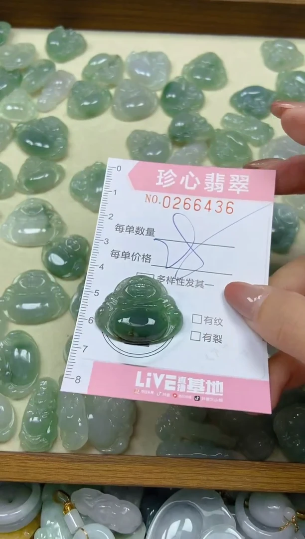 翡翠未镶嵌颈饰闪购0266436