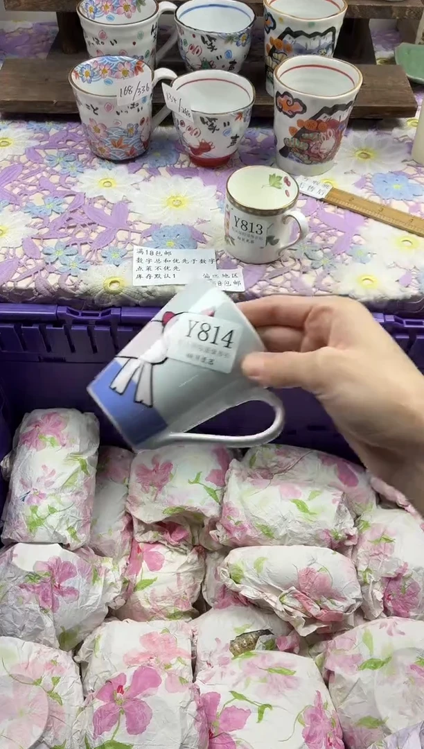 瓷片小*鱼                     Y814