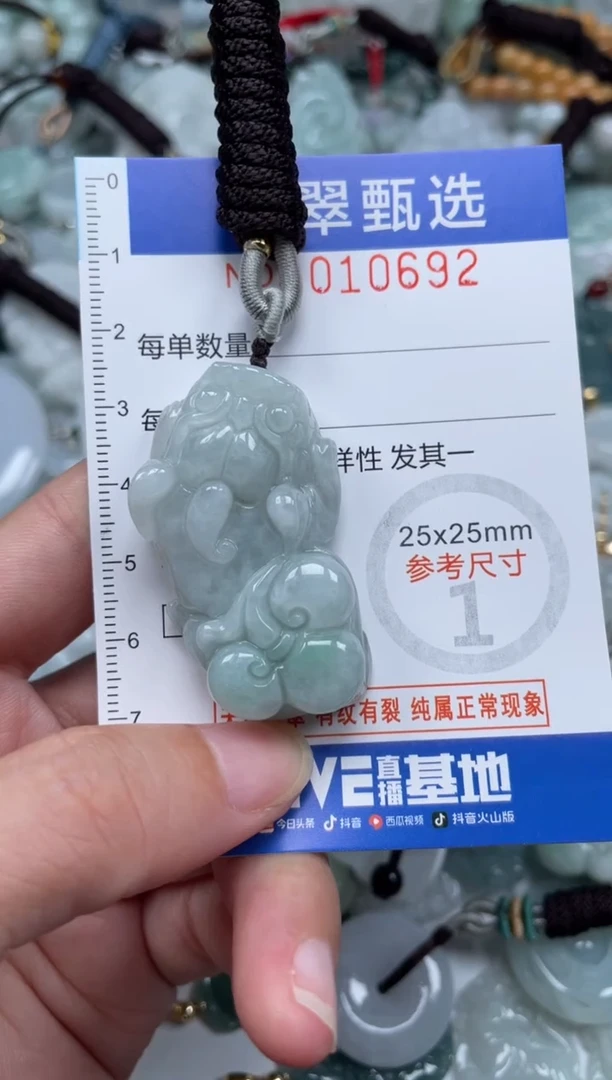 颈饰未镶嵌翡翠10692