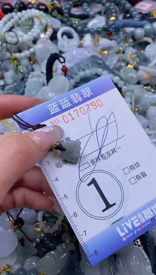 【闪购商品】翡翠颈饰未镶嵌闪购0170790多样性发其一