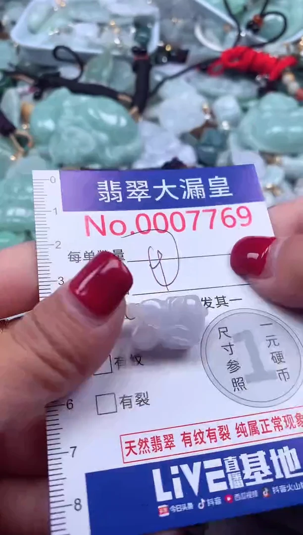 颈饰未镶嵌翡翠7769