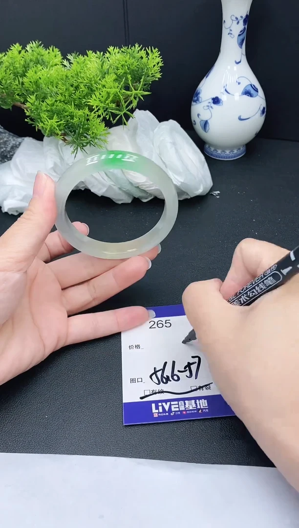 未镶嵌手镯翡翠265