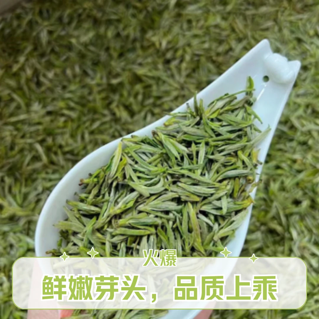 2025新茶.头採毛峰绿茶（散装100g）