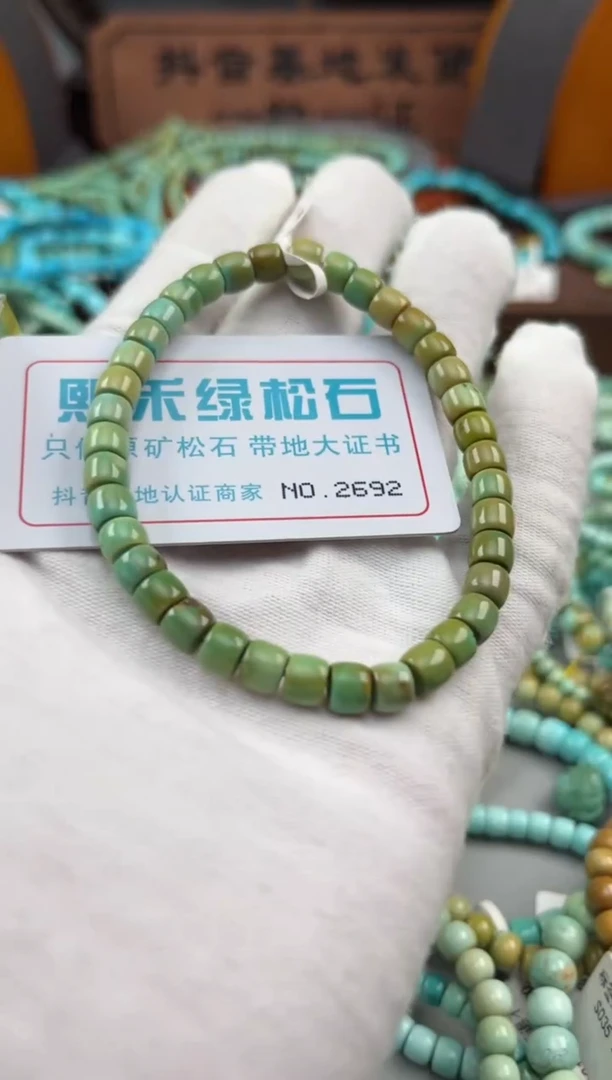 绿松石未镶嵌松石2692