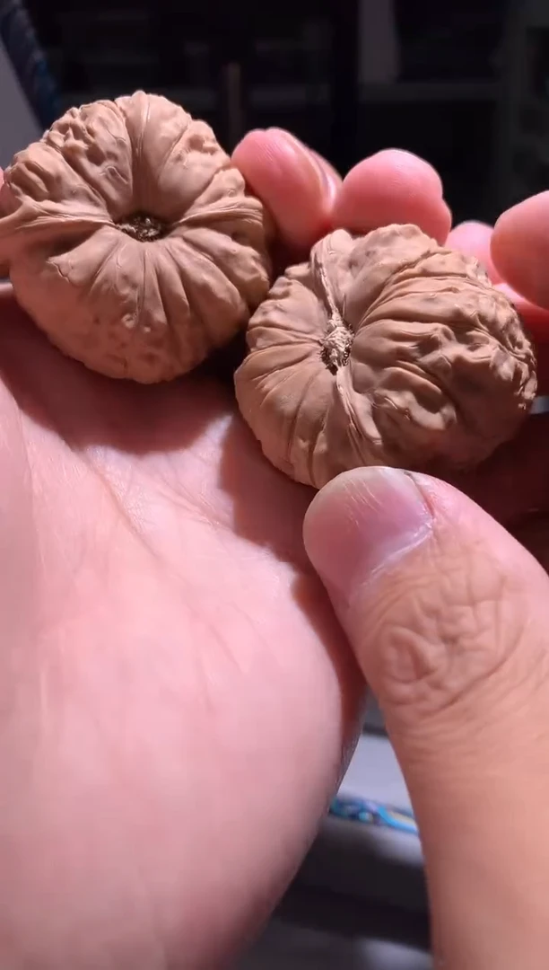 金刚菩提手串193