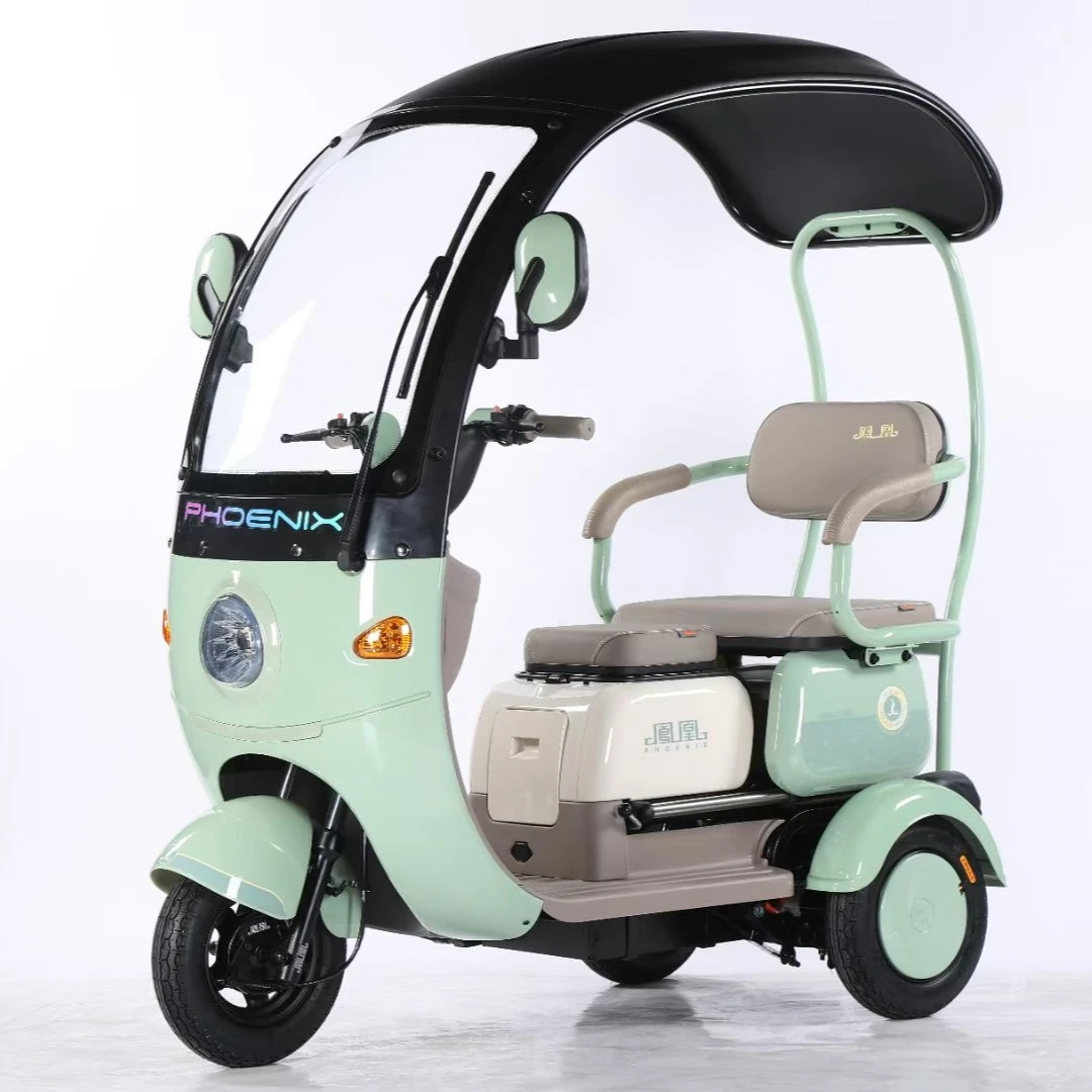 凤凰凤奇丨电动三轮车家用大电机小巴士长续航老人接送孩子代步车