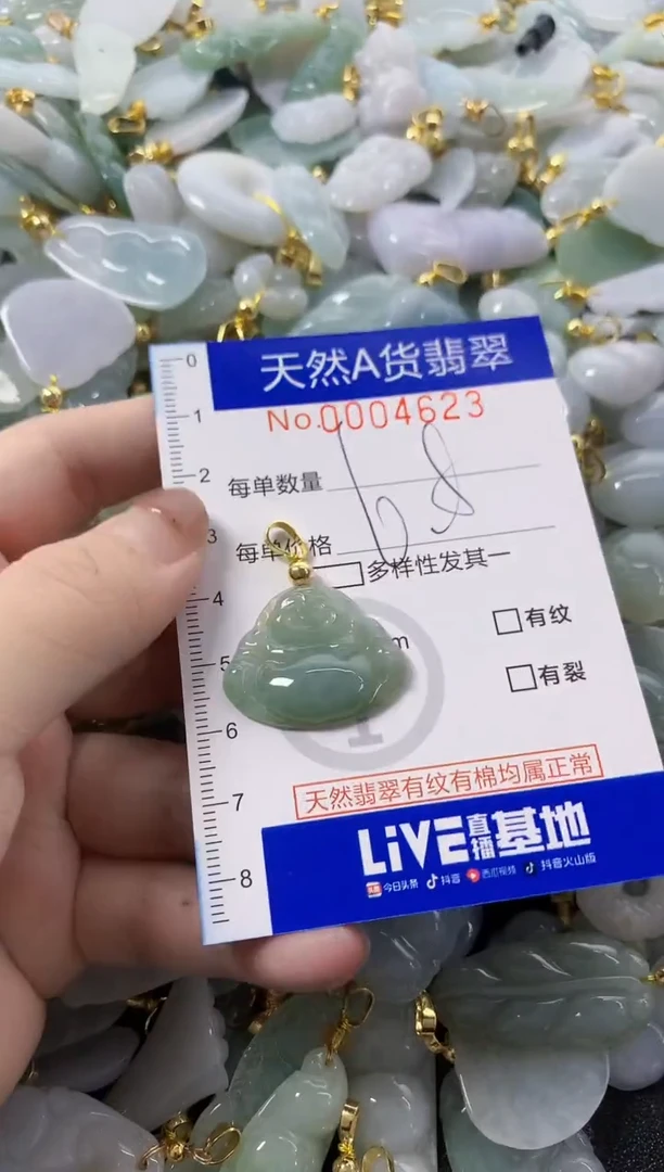 颈饰未镶嵌翡翠天然A货翡翠