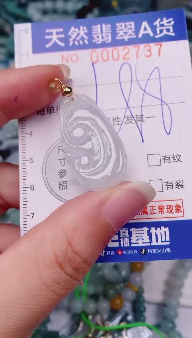颈饰未镶嵌翡翠00002737