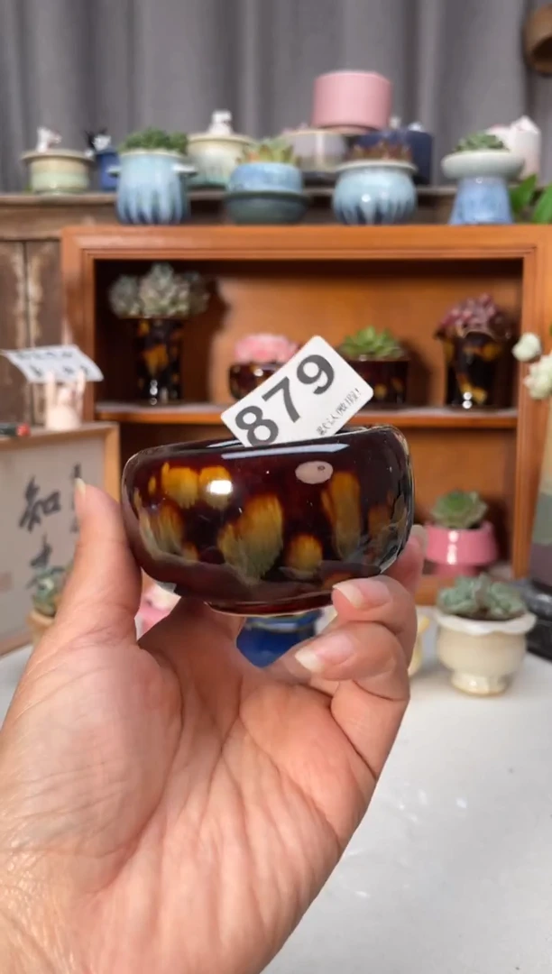 瓷片879小芳直播编号