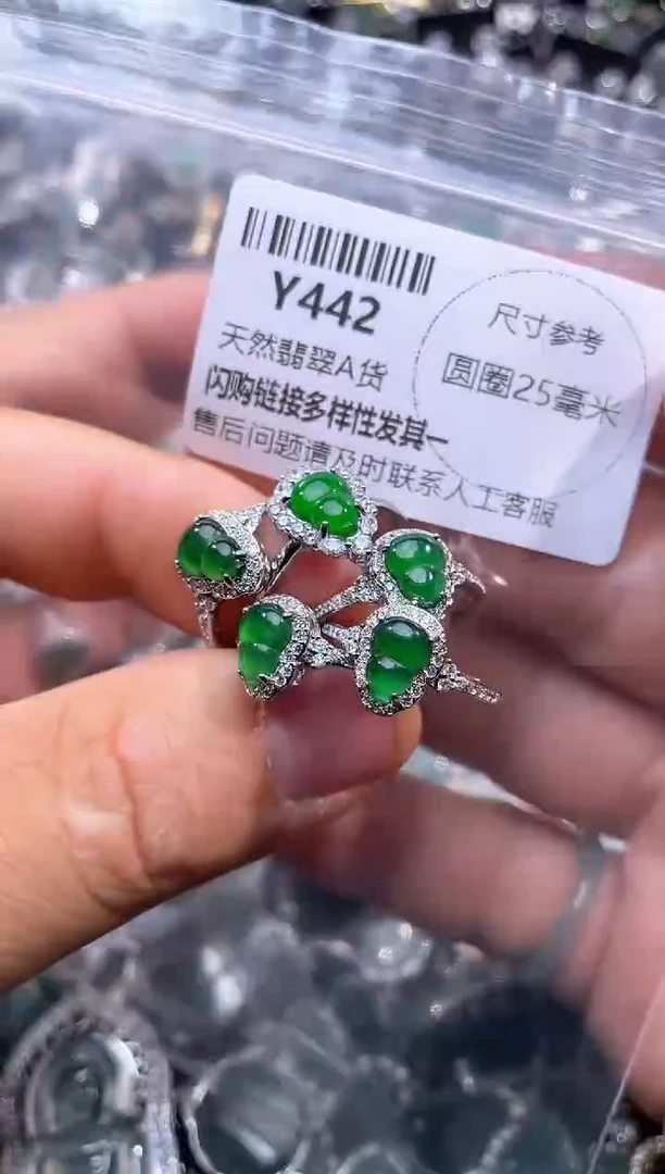 【闪购商品】翡翠颈饰未镶嵌Y442戒指 多样性发其一