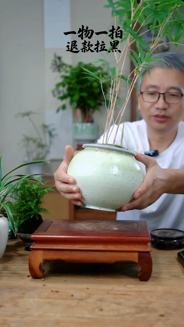 完全开放简*二红竹467